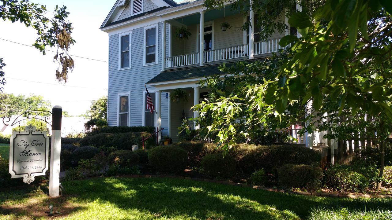 Fig Tree Manor Bed & Breakfast Palestine Exterior foto