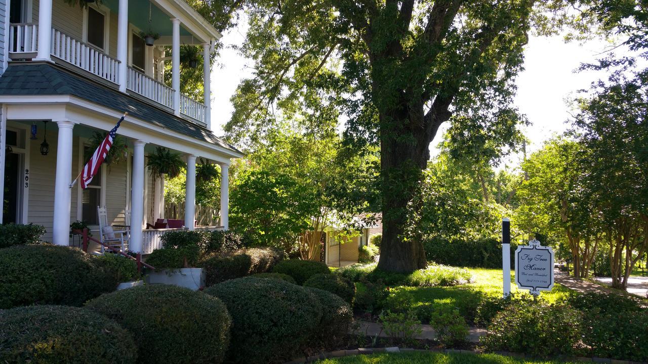 Fig Tree Manor Bed & Breakfast Palestine Exterior foto