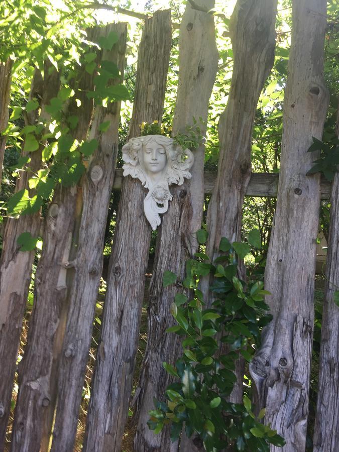 Fig Tree Manor Bed & Breakfast Palestine Exterior foto